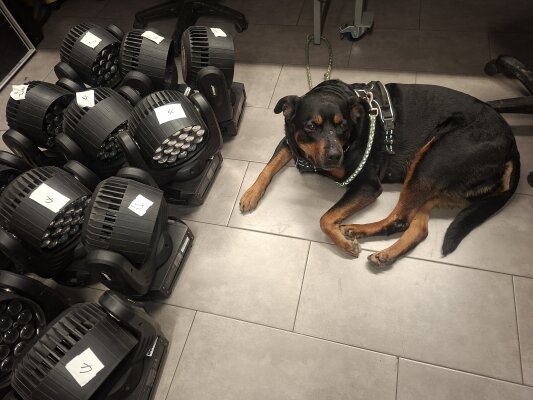 Technische Endkontrolle durch Stiftung Rottitest - Technische Endkontrolle durch Stiftung Rottitest
