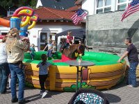 der Bulle