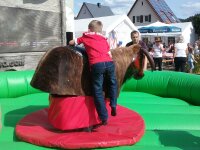 der Bulle