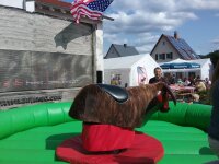 der Bulle