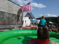 der Bulle